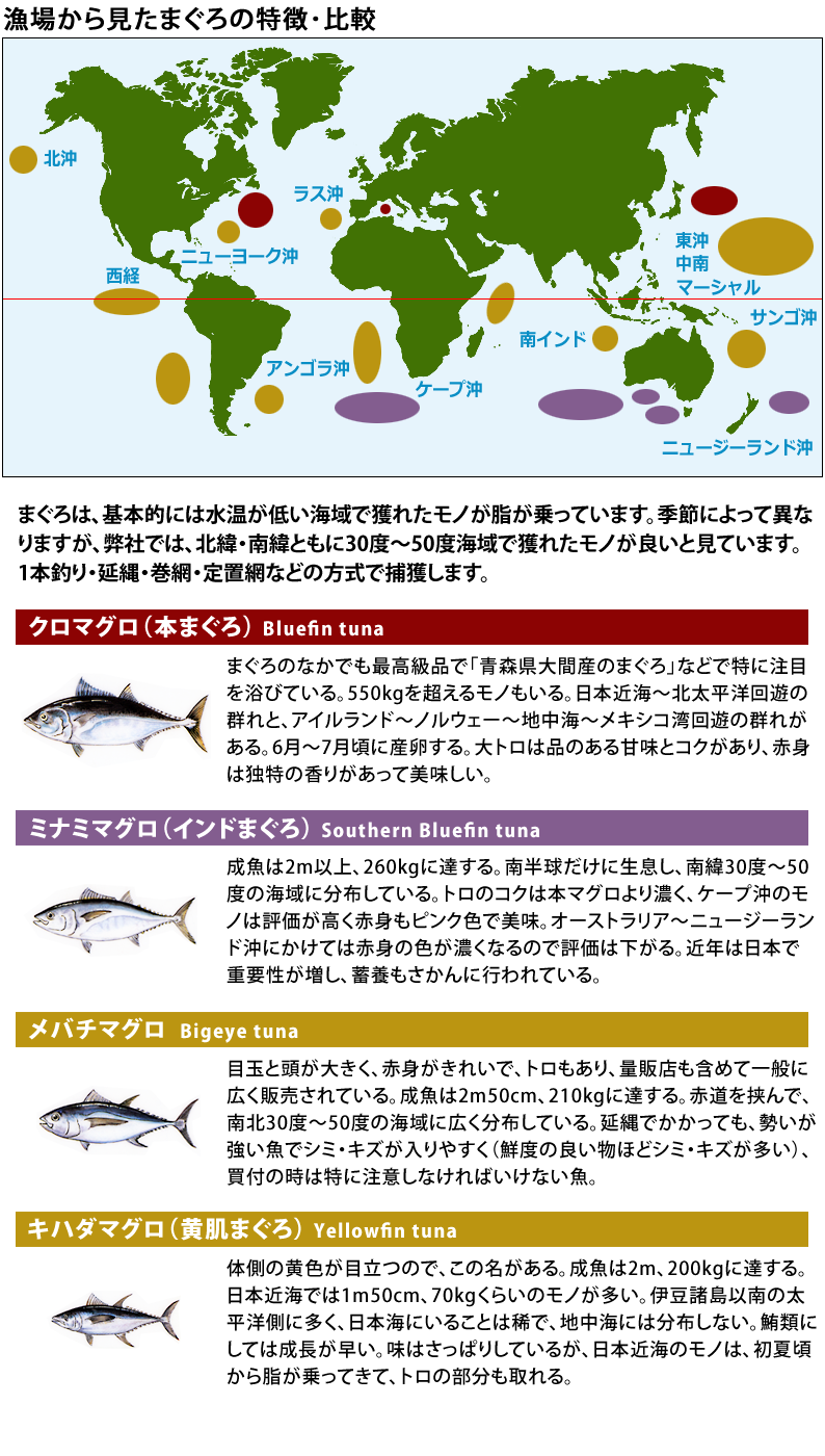 漁場から見たまぐろの特徴・比較